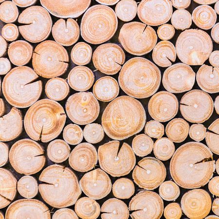 Hardwood Logs For Sale Staffordshire | Free Local Delivery