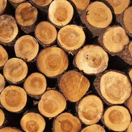 Softwood Logs For Sale Stoke-on-Trent Staffordshire | Free Local Delivery